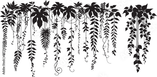 Hanging vines ivy and dense foliage silhouette, Jungle liana climbing plants, vector illustration