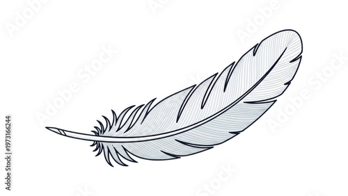 A detailed illustration of a single feather floating gently in air