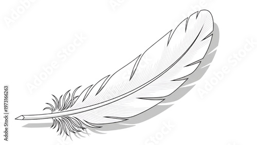 A detailed illustration of a single feather falls gently in air.