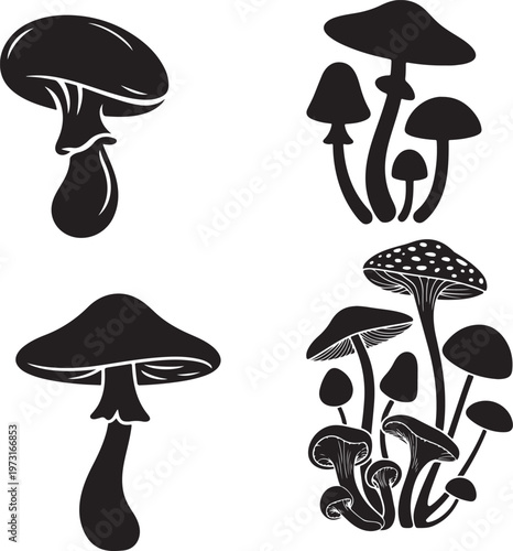 vector illustration of mushrooms