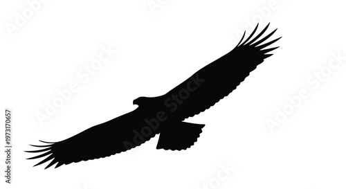 Majestic eagle silhouette soaring gracefully against a bright, empty sky