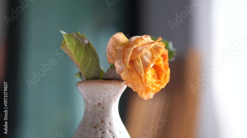 Vertical close-up of withered orange rose in a ceramic vase representing sadness ending and fading memories concept