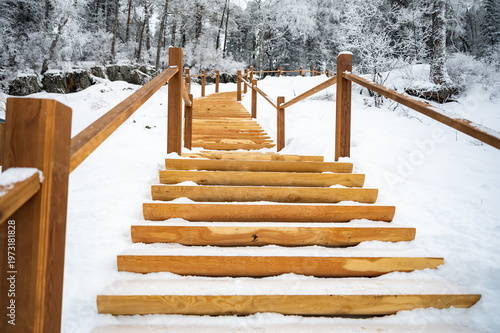 Snowy Wooden Steps in Serene Winter Forest