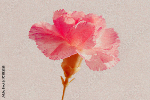 Soft botanical watercolor carnation on textured paper