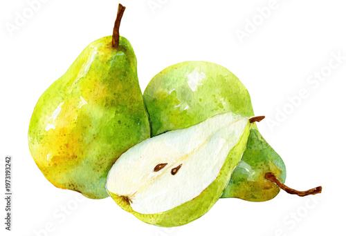 Watercolor fresh organic green pears and sliced pear clip art illustration