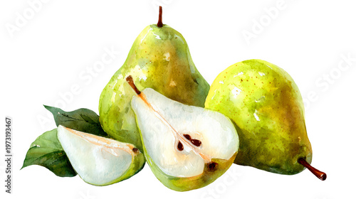 Watercolor fresh organic green pears and sliced pear clip art illustration