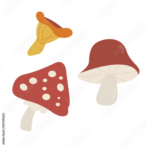 Set of autumn forest mushrooms, red fly agaric, yellow chanterelle and wild mushroom, simple flat vector illustration isolated on white