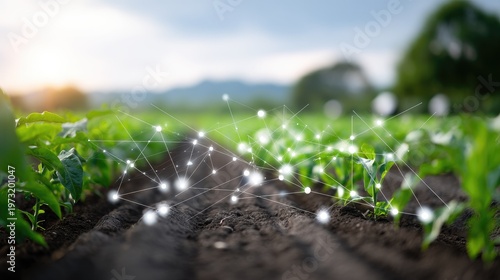 Innovative Agriculture Concept with Growing Plants and Data Connection in Field Landscape