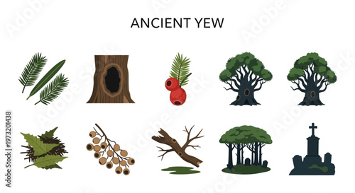 Modern Flat illustration of Ancient Yew Tree Symbols and Icons.