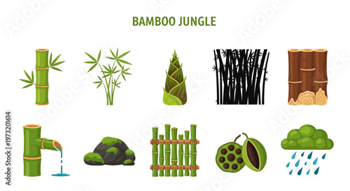 Bamboo jungle plants and trees.