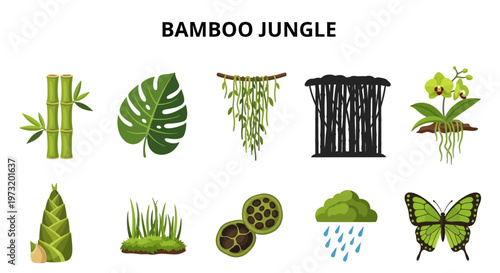 Bamboo jungle plants and tropical foliage.
