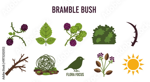 Icon Set Modern Vector of Bramble bush flora and fauna icons.