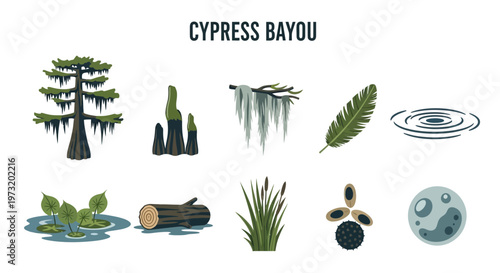 Modern Flat illustration of Cypress Bayou Nature Wetland Ecosystem Elements.