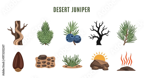 Desert Juniper Tree Icons and Elements.