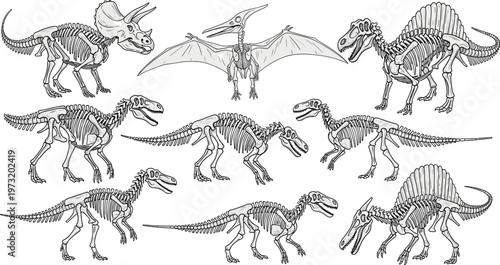 Detailed Black and White Dinosaur Skeletons Set with T-Rex, Pterodactyl, and Triceratops for Educational and Science Illustration Designs.