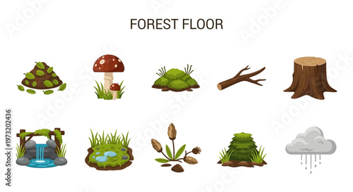 forest floor ecosystem elements icons.