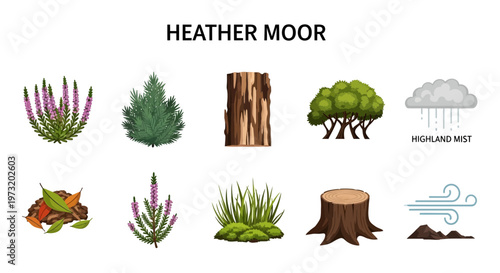 Heather moor landscape nature elements.