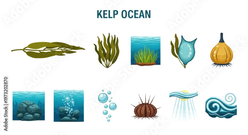 Kelp ocean seaweed underwater marine life.