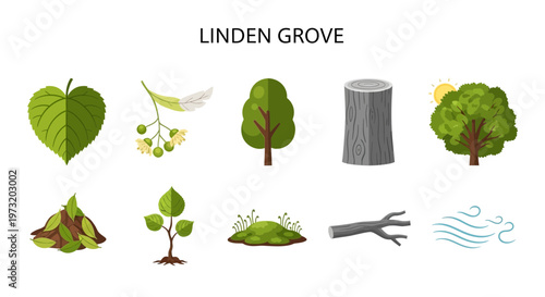 Icon Set Modern Vector of Linden Grove Trees and Leaves Collection.