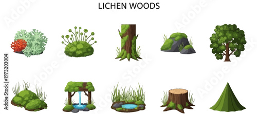 Lichen covered forest ecosystem elements.