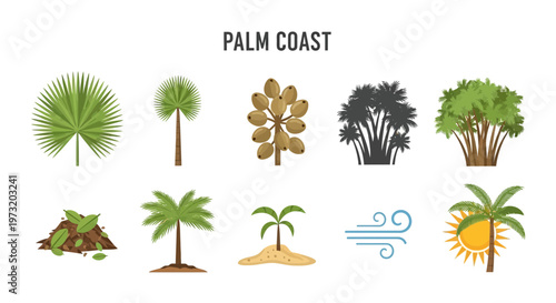 Palm trees and tropical coastal landscape.