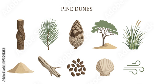 Icon Set Modern Vector of Pine Dunes Nature Landscape Elements.