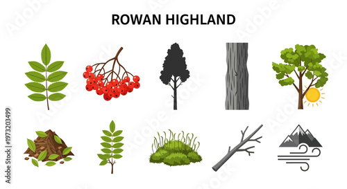 Rowan Highland Nature Mountain Landscape.