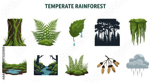 1 set icon of Temperate Rainforest Foliage and Landscapes.