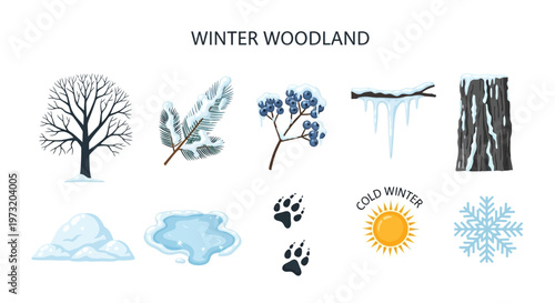 Winter woodland scene with snow and trees.