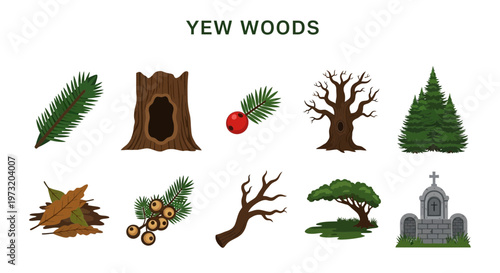 Yew tree woodlands and foliage elements.