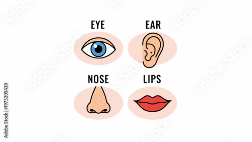 Human Sense Organs Icon Set with Eye Ear Nose and Lips Vector