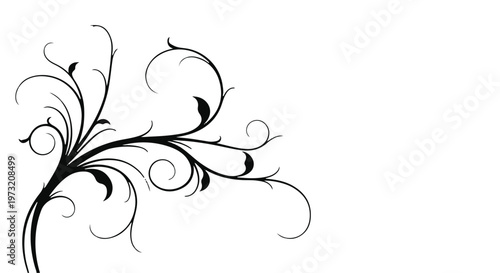 Elegant black silhouette illustration showcases an ornate, swirling flourish design, serving as a versatile decorative calligraphic element with ample copy space on a clean white background.