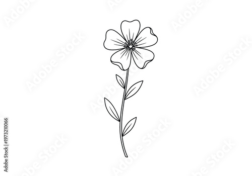 Minimalist hand drawn flower illustration with stem and leaves for botanical design