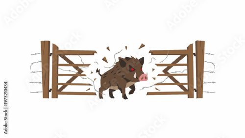 Wild boar breaking through wooden gate with barbed wire