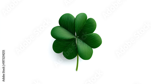 Isolated four leaf clover, shamrock for luck, Irish symbol, St. Patrick's Day, auspicious charm