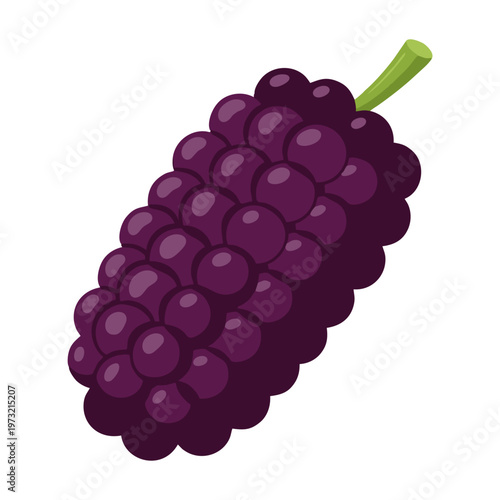 A single bunch of dark purple grapes with a green stem.