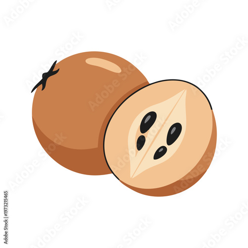 Illustration of a Whole and Halved Sapodilla Fruit.