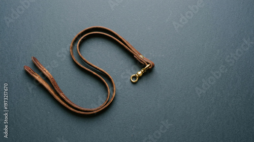 Leather falconry jesses with brass swivel on dark slate surface overhead hunting equipment tradition.