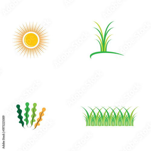 Grass leaf green vector template image