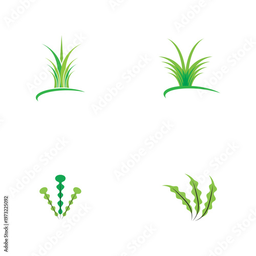 Grass leaf green vector template image