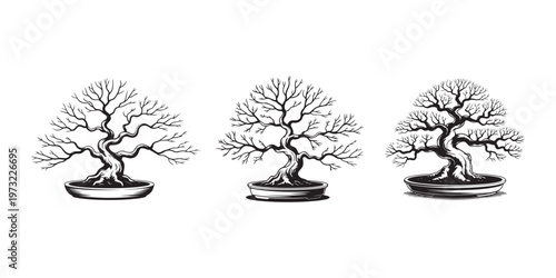 Three intricately detailed black and white outline illustrations of traditional Japanese bonsai trees