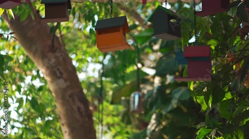 Colorful wooden birdhouses hanging on tree in garden with sunlight, Handmade decorative bird houses in greenery with warm light and natural background 4k
