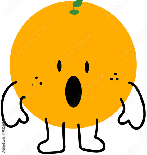 귤 오렌지 감귤류 시트러스