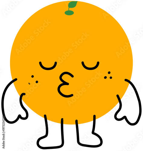 귤 오렌지 감귤류 시트러스