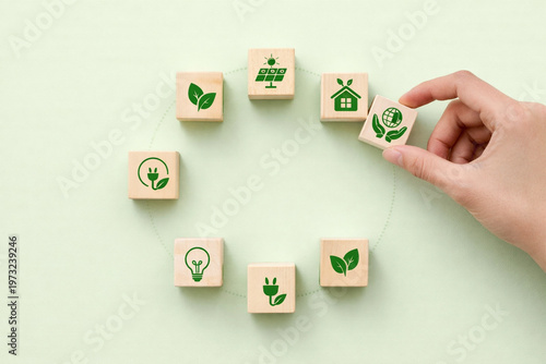 Green Sustainable Energy Growth and Conservation Step Plan with Wood Blocks.