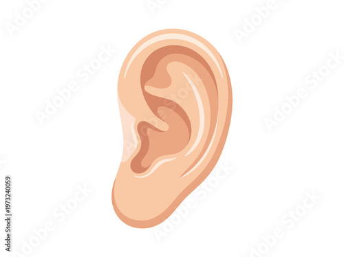 Flat human ear side view, smooth curves, subtle highlights, clean minimal beauty medical style