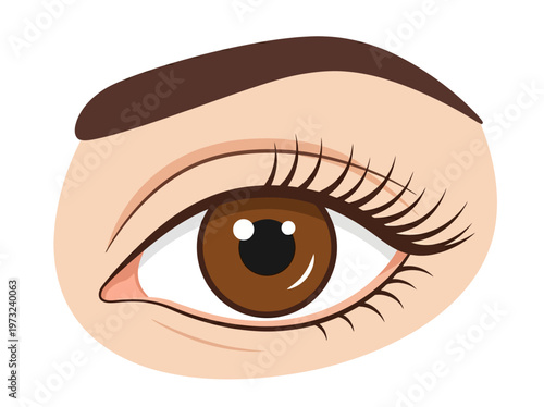 Flat feminine eye with brown iris, long lashes, clean outline, refined beauty minimal design style