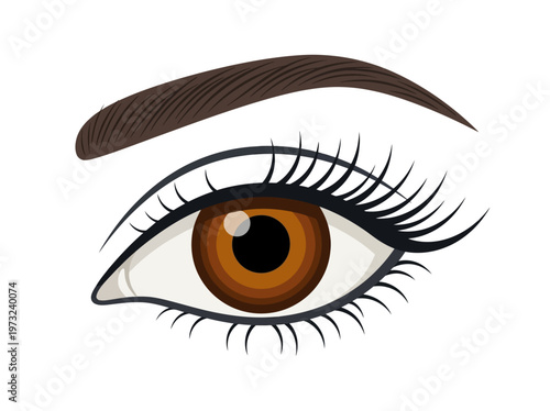 Flat feminine eye with brown iris, long lashes, clean outline, refined beauty minimal design style