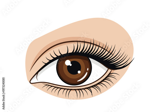 Flat feminine eye with brown iris, long lashes, clean outline, refined beauty minimal design style