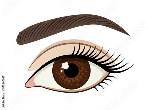 Flat feminine eye with brown iris, long lashes, clean outline, refined beauty minimal design style